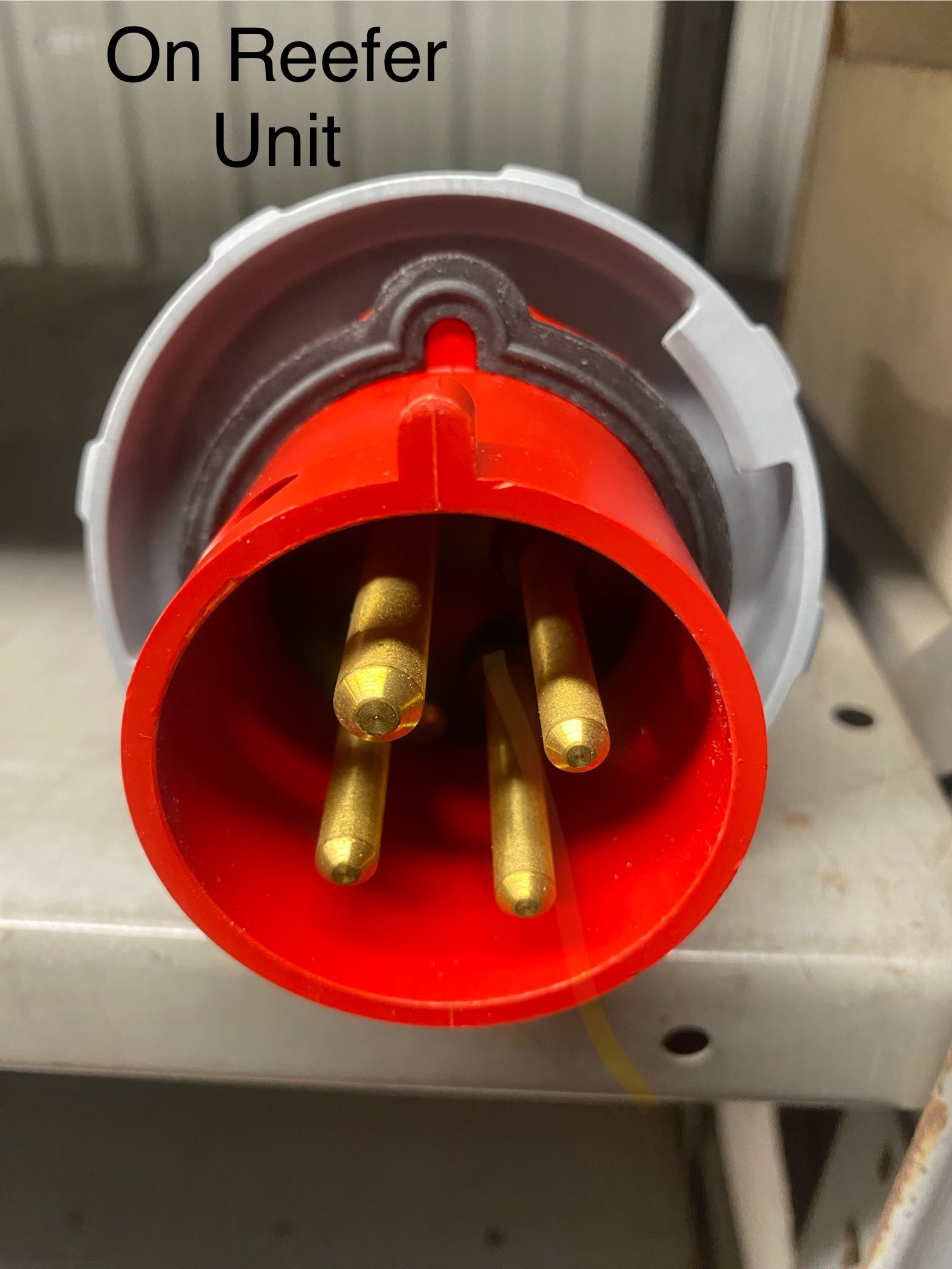 48 Foot Refrigerated Trailer Rental (BT-5848) | BT-5848 | BTRAC